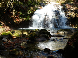 秋の山　紅葉　秋