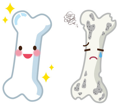 健康な骨と弱い骨