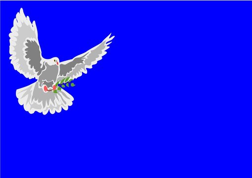 free flying white dove with  an olive leaf
