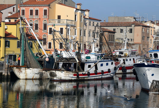 Fishing vessels in sea haven moored in Italy