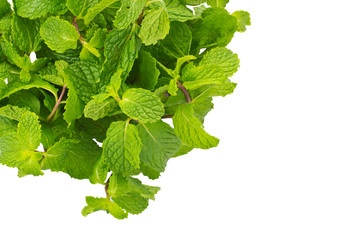 Mint