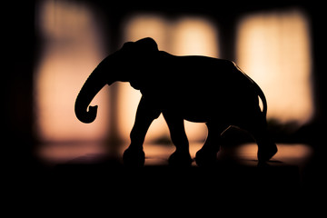 elephant profil contre jour © shocky