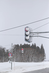 雪が積もった赤信号