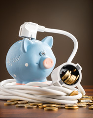 sparschwein mit kabel