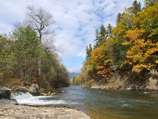 Rapid taiga river Kema