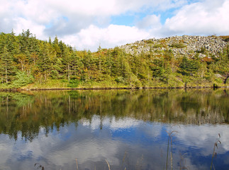Reflection of the shore in a mountain lake
