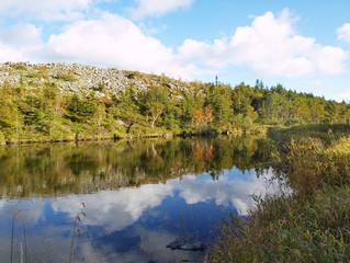 Reflection of the shore in a mountain lake