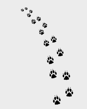 Black trail of dog, turn left, vector