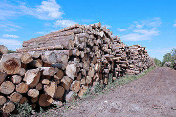 Logs in the logging