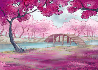 Spring. Cherry blossom. Japanese garden.