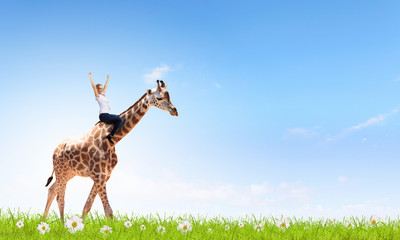 Woman saddling giraffe