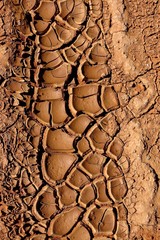 Dried land with cracked ground, NSW, Australia