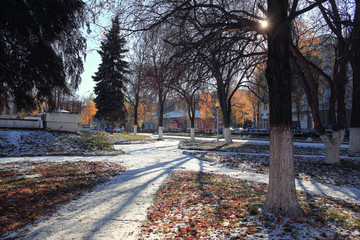 Naklejka premium landscape park autumn trees snow forest