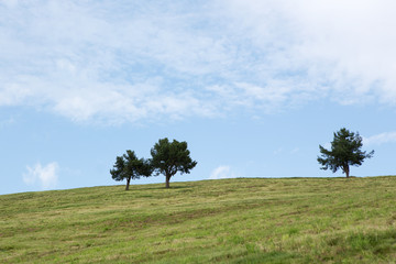 Prati dell'altopiano di Luson - Italy