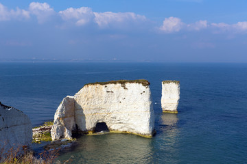 Old Harry Rocks chalk stacks Studland Dorset uk Jurassic coast
