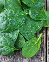 fresh spinach