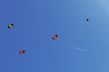 Сolorful kites and a airplane in the blue sky
