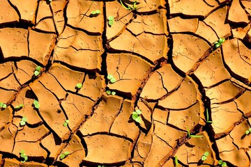 cracked ground, Australia