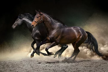 Gordijnen Horses gallop in desert © callipso88