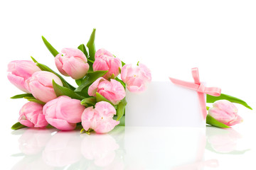beautiful tulips with with blank for text on a white background.