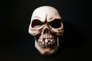 Skull