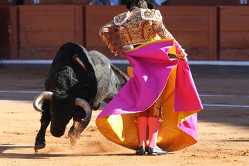 toro