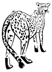 Cheetah silhouette