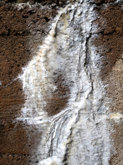 Schimmel an der Wand