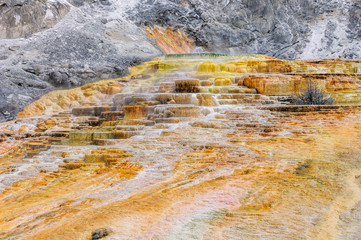 Yellowstone, Palette falls, Mammoth Hot Springs