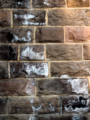 Schimmel an der Wand