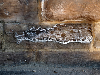 Schimmel an der Wand