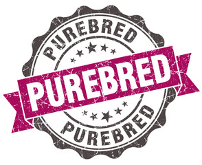 purebred grunge violet seal isolated on white