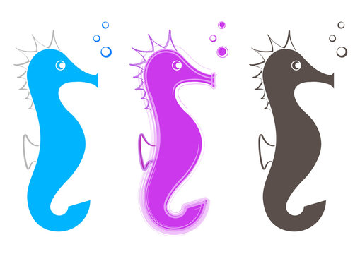 Animal marin - Hippocampe