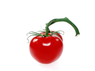 tomatoes on the vine