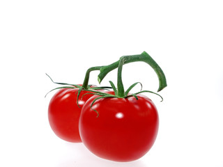 tomatoes on the vine