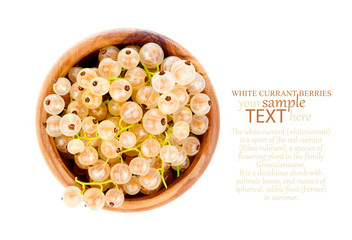 Fototapeta na wymiar White currant fruit in a wood bowl, isolated over white backgrou