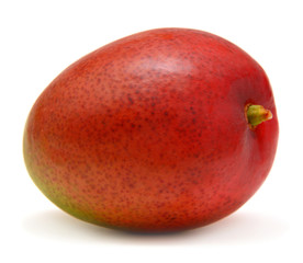 Mango fruit