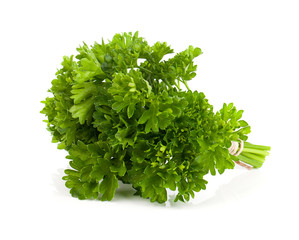 parsley tied with an cord band in white background.