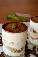 Sweet Deliciouse Italian Tiramisu Dessert