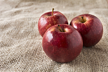 Beautiful red apples on rustic fabric