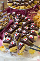 Sweet and tasty Cupcakes on wedding reception table