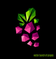 Vector bunch of grapes on a black background