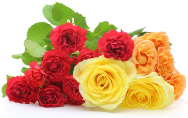 Fototapeta premium 薔薇