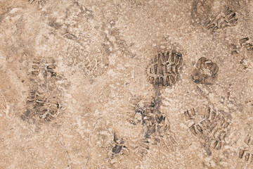 Footprints on frozen ground
