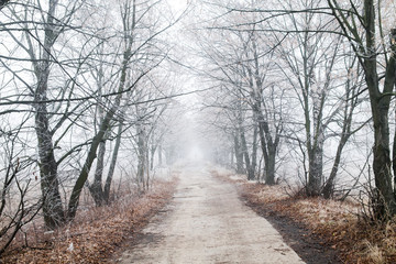 Beautiful winter road