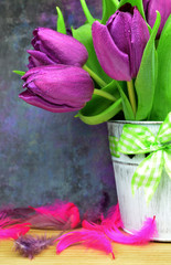 tulipany violet