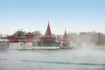 The famous Heviz lake © andras_csontos