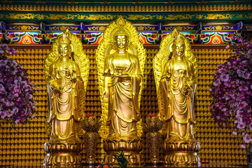 Buddha statues in temple of Thailand