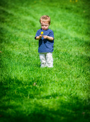 Young Boy Inspecting a Dandelion Flower