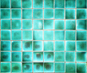 wall and floor mosaic